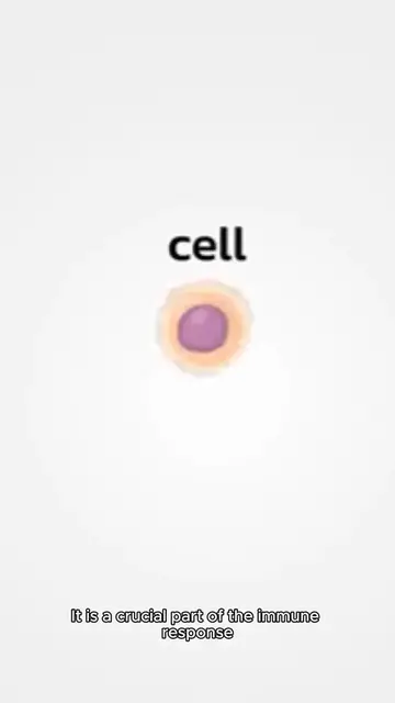 Video thumbnail for imflamation