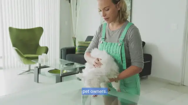 Video thumbnail for Shiny Smiles: A Canine Caretaker's Manual for Dental Health