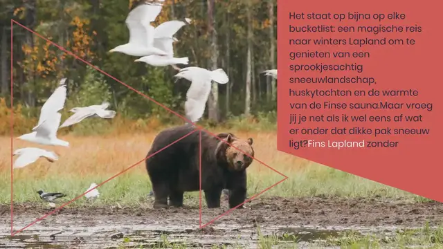 Video thumbnail for WAAROM JE FINS LAPLAND ZONDER SNEEUW WILT ZIEN!