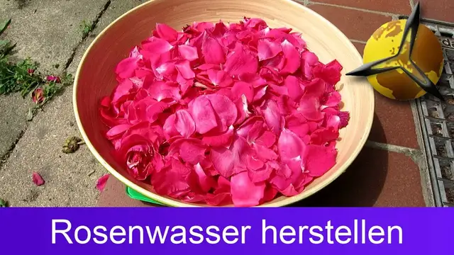 Video thumbnail for Rosenwasser selber machen / herstellen