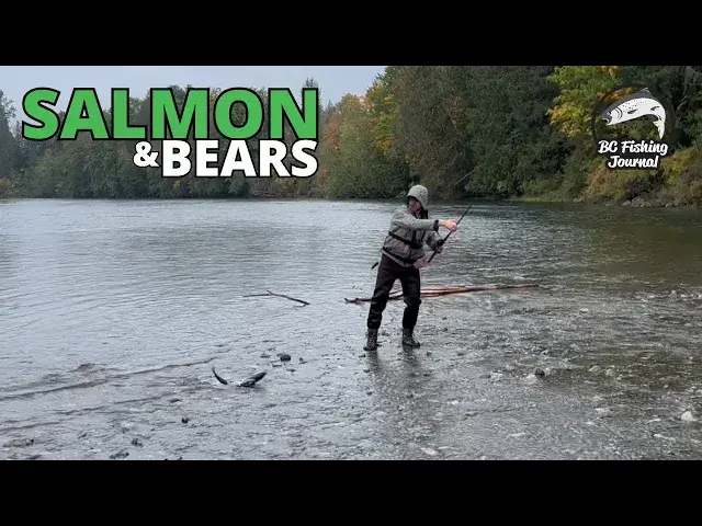 'Video thumbnail for Fishing for Coho finding lots of Salmon & BEARS'