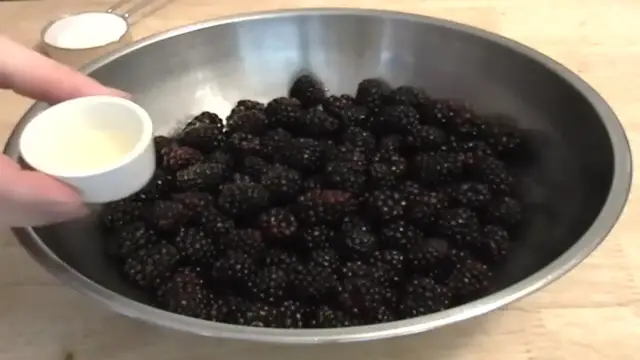 Video thumbnail for Blackberry Crisp(480P)