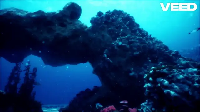 Video thumbnail for Discover the Vibrant World of Butterfly Fish!