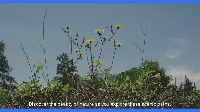 Video thumbnail for Discovering Hiking and Trekking Trails