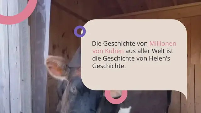 Video thumbnail for Blinde Kuh bekommt neues Heim: Unglaublich, was die Pflegeeltern tun, damit sie sich zurechtfindet