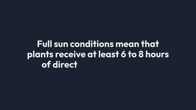 Video thumbnail for Vegetables Full Sun Placement