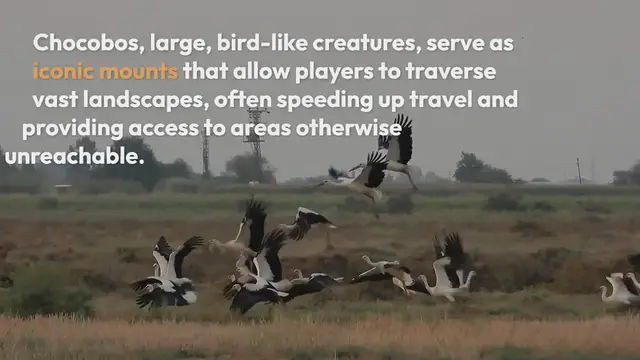 Video thumbnail for Chocobo Riding and Customization