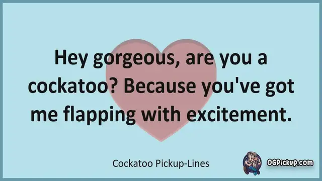 Video thumbnail for Cockatoo - Pickup-Lines & Rizz for Him & for Her