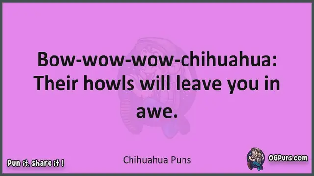 Video thumbnail for Chihuahua - Jokes, Puns, Wordplays, and Laughter