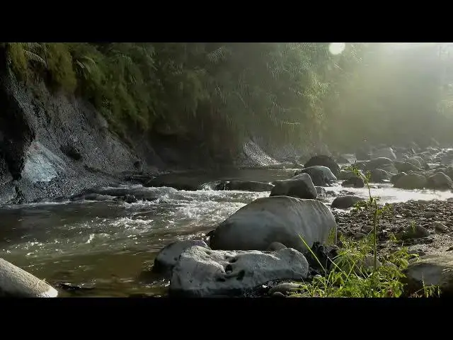 Video thumbnail for 20 Minute Meditation for Inner Peace and Relaxation [ Best Mindful Meditation Created 4K ] Powerful