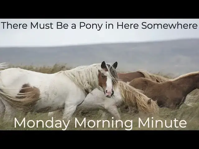 Video thumbnail for There  Has to Be a pony in  Here  Somewhere |There’s got to be a pony somewhere| David George Brooke