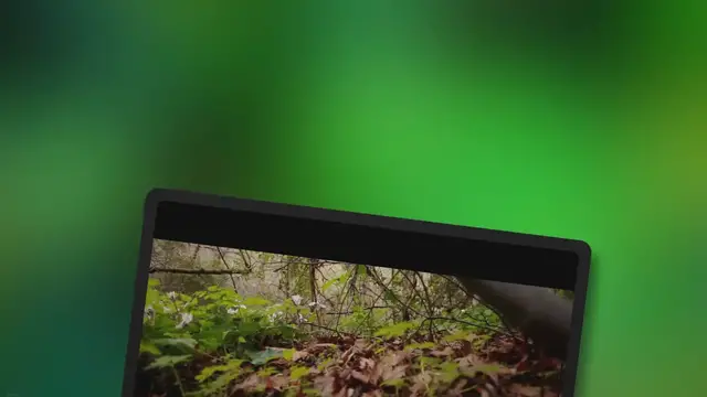 Video thumbnail for Illegal Air Plant Picking Exposed: What You Need to Know