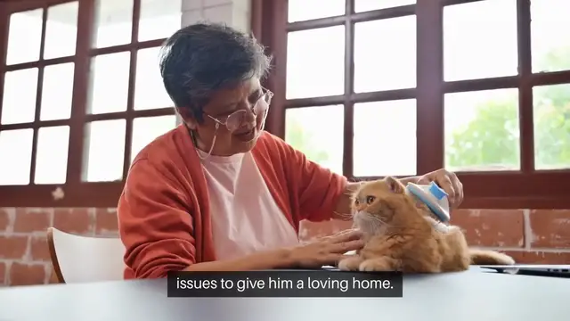 'Video thumbnail for Adopting a Pet The Right Decision'