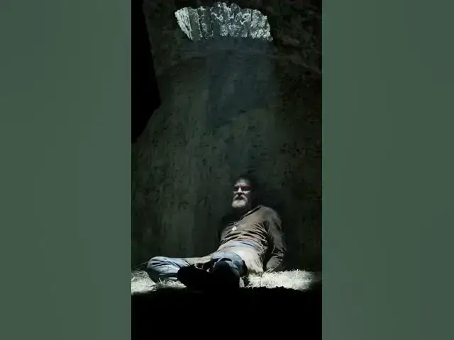 Video thumbnail for Did You Know this St Patrick's Day Fact? #stpatricksday #stpatrick #shamrocks