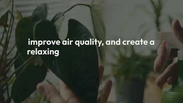 Video thumbnail for How to Create an Indoor Jungle in Your Home