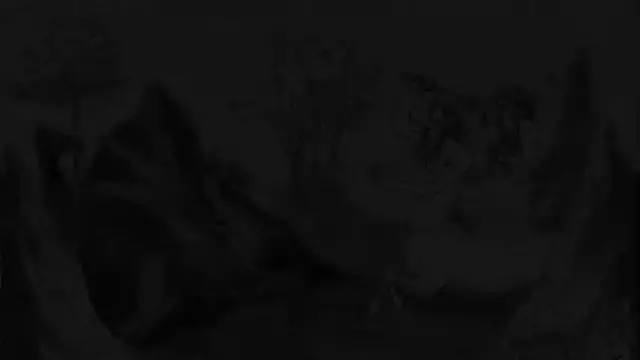 Video thumbnail for Top 10 Mythical Creatures And Legends