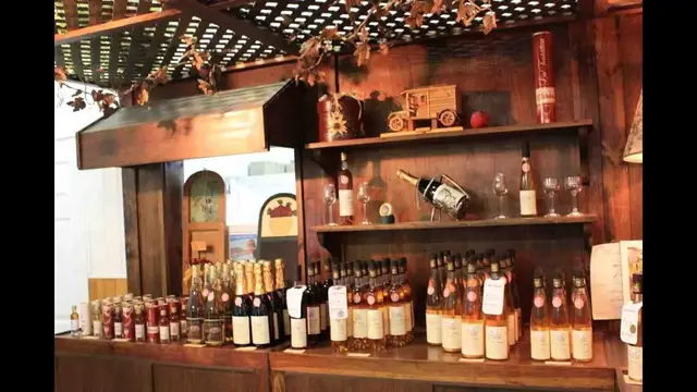 Video thumbnail for Ile d'Orléans, Québec - Insel des Bacchus