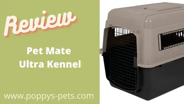 Video thumbnail for Best Home & Camping & Travel Kennel for a Dog