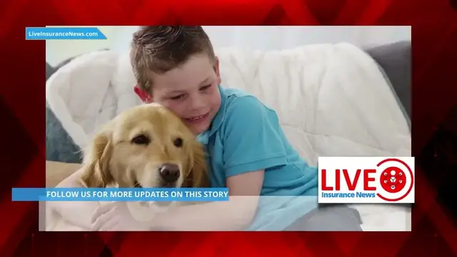 Video thumbnail for Avoid pet insurance claims by preparing for Fourth of July Fireworks