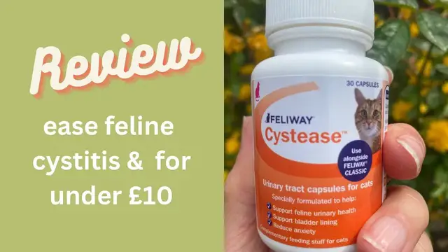 Video thumbnail for One Way to Ease Cystitis Pain and Stop Cystitis for Under £10