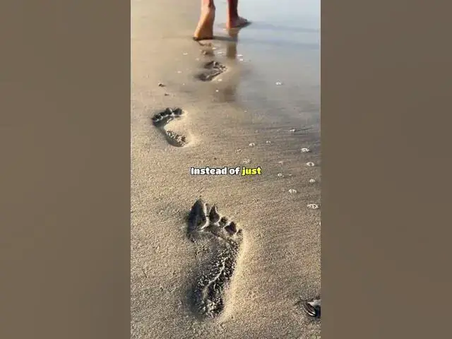 Video thumbnail for What was the moment you lost all respect for a teacher #aitareddit  #redditstories