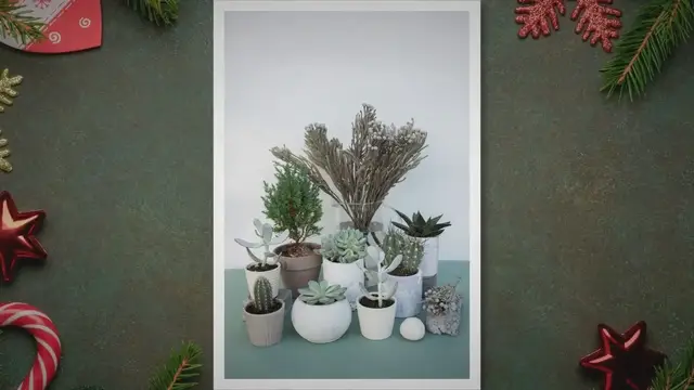 'Video thumbnail for Amazing Gardening Gift Ideas for Christmas'