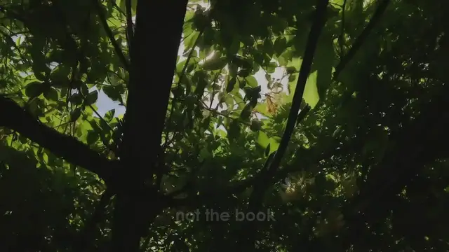 Video thumbnail for He Loved My Body But Not Me Ad