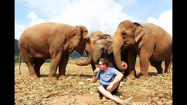Video thumbnail for PLAYING WITH ELEPHANTS - Elephant Nature Park, Chiang Mai Thailand