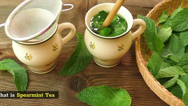 Video thumbnail for Spearmint Tea, Superb 5 Facts That You Need To Know About It