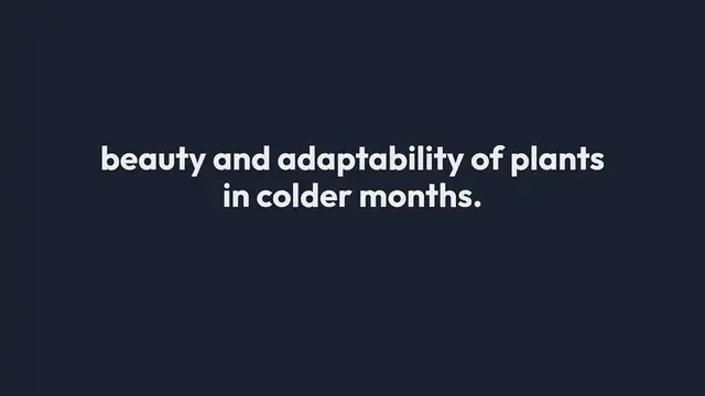 Video thumbnail for Visiting Botanical Gardens In Winter