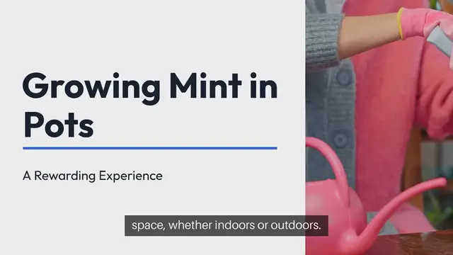 Video thumbnail for How to Grow Mint in Pots