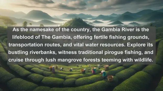 Video thumbnail for Exploring The Gambia's Natural Wonders: Top 10 Famous Rivers You Must Experience