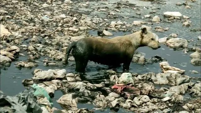 Video thumbnail for Top 13 Causes Of Water Pollution