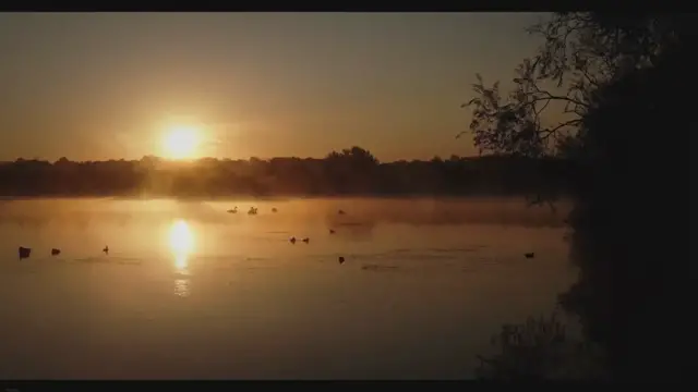 Video thumbnail for Retire Early and Live Your Best Life: A Comprehensive Guide to Financial Freedom