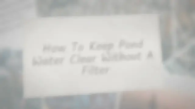 'Video thumbnail for How to Keep a Pond Clean Without a Filter (5 Simple Steps)'
