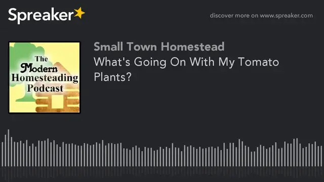 'Video thumbnail for What's Going On With My Tomato Plants? - Modern Homesteading Podcast'