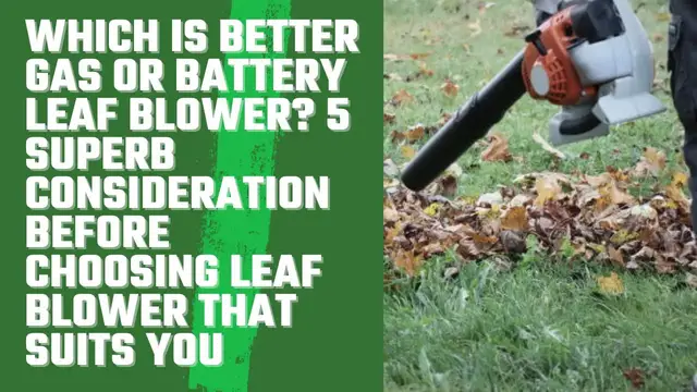 'Video thumbnail for Which Is Better Gas Or Battery Leaf Blower? 5 Superb Consideration Before Choosing Leaf Blower'