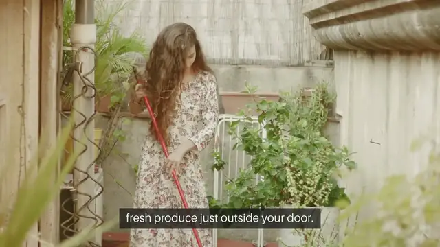 Video thumbnail for Step-by-Step Guide to Patio Vegetable Gardening