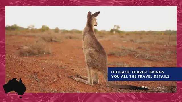 'Video thumbnail for Learn More About Australia With Outback Tourist - Kangaroo'