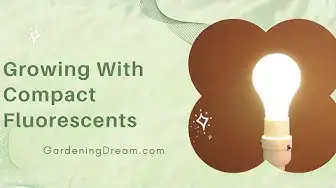 Video thumbnail for Growing With Compact Fluorescents