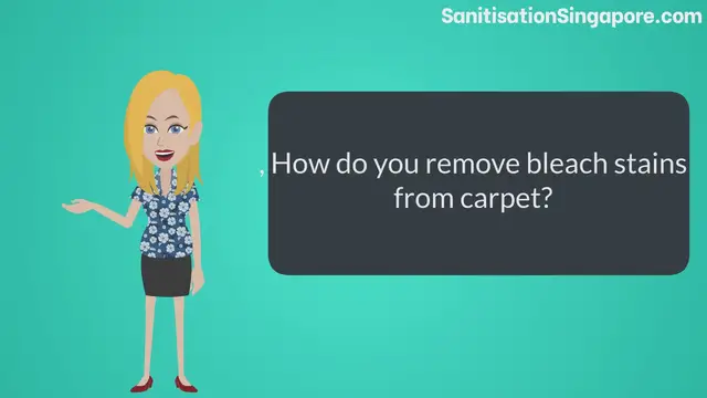 'Video thumbnail for How to get bleach stains out of carpet'
