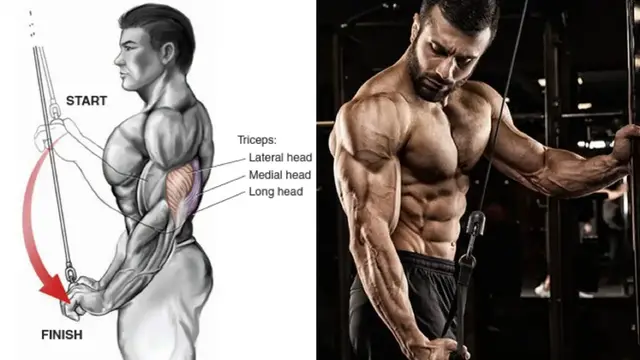 Video thumbnail for Best Triceps Workouts –  Exercises for bigger and stronger triceps