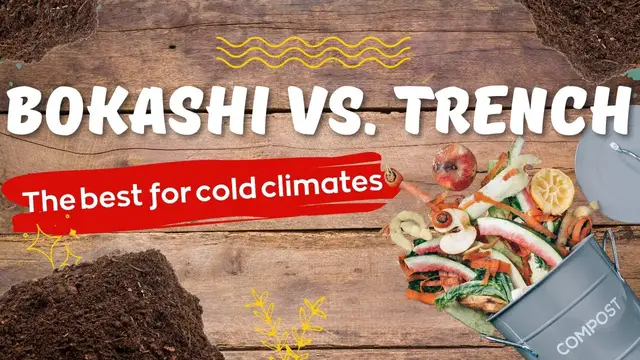 Video thumbnail for Bokashi Vs. Trench Composting. Which Type Of Composting Is BETTER Bokashi or Trench For Canada?!