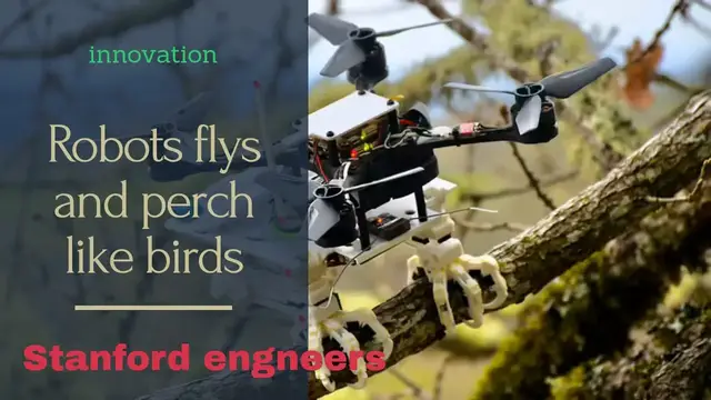 Video thumbnail for perching bird like robot created by Stanford engineers