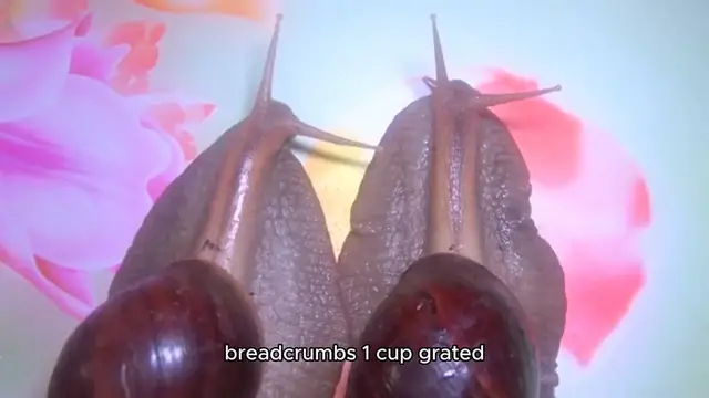 Video thumbnail for Eggplant Parmesan Recipe 🍆🍝✨