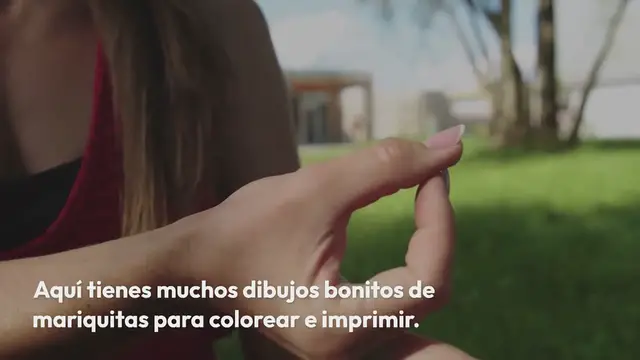 Video thumbnail for Mariquitas para colorear