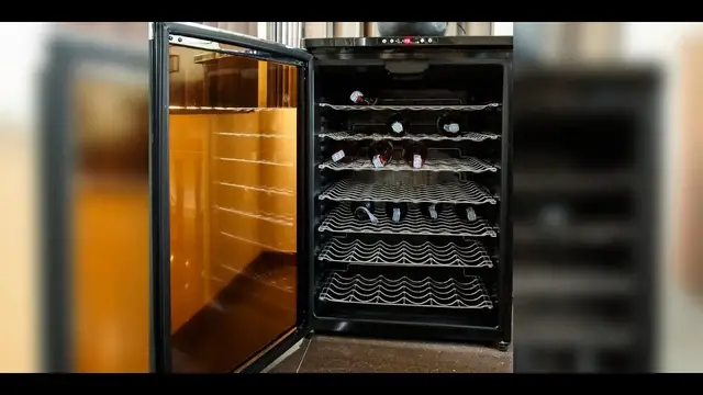 Video thumbnail for Are Wine Coolers Worth It, 4 Superb Things That You Need To Consider Before Buying It