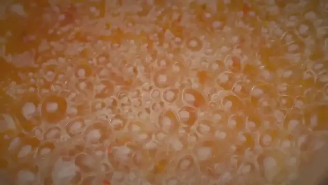 Video thumbnail for Common Mistakes in Slow Cooking and How to Avoid Them