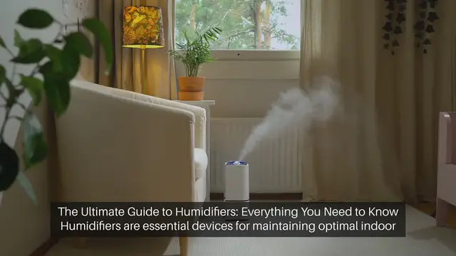 Video thumbnail for The Ultimate Guide to Humidifiers: Everything You Need to Know