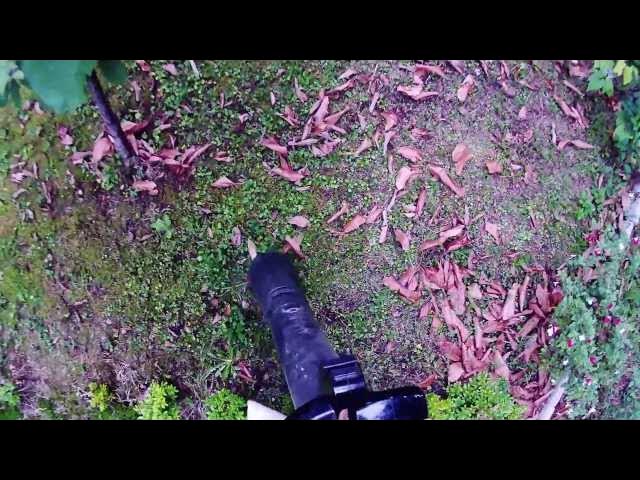 Video thumbnail for Fonctionnement de l'aspirateur Souffleur Broyeur Toro BLOWER VAC 51594